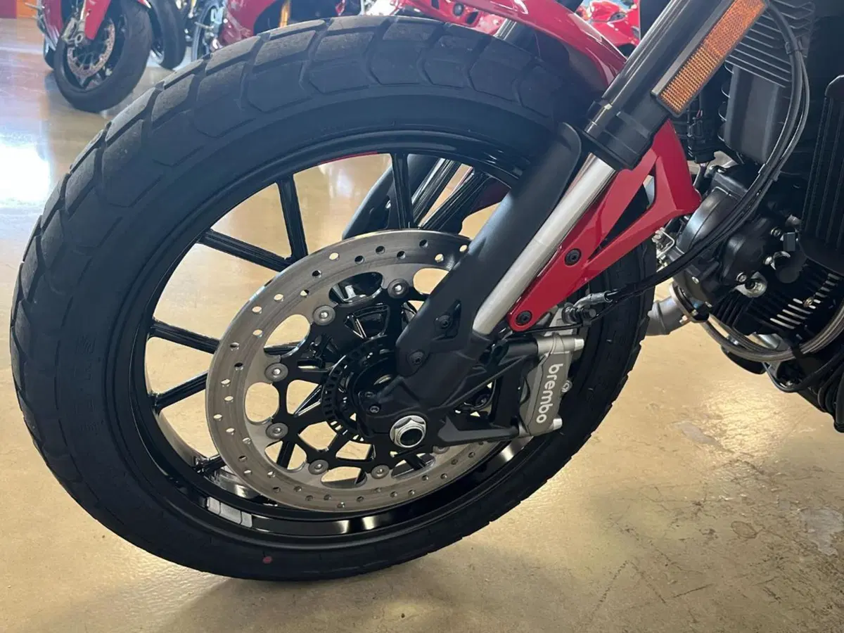 Ducati Scrambler 800 Icon (2025 - 26) (3)
