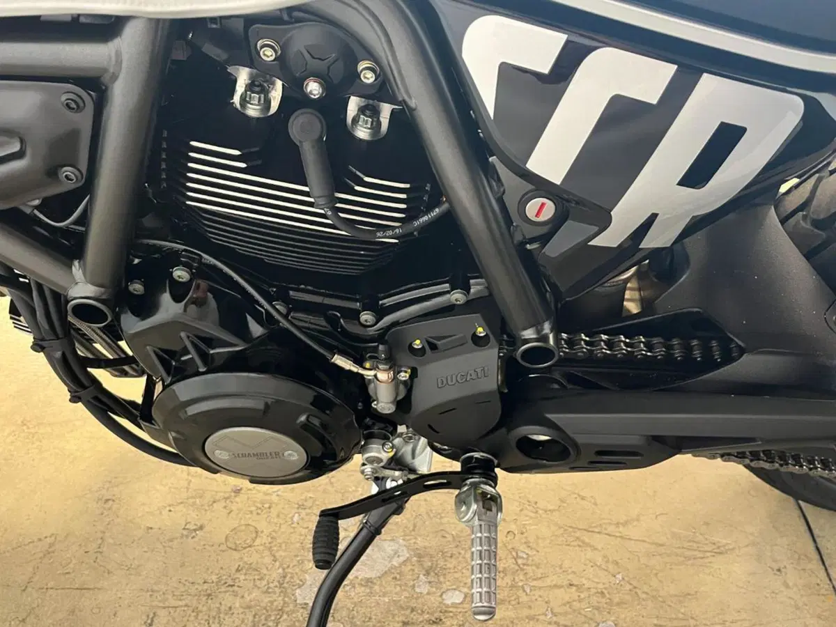 Ducati Scrambler 800 Icon (2025 - 26) (9)