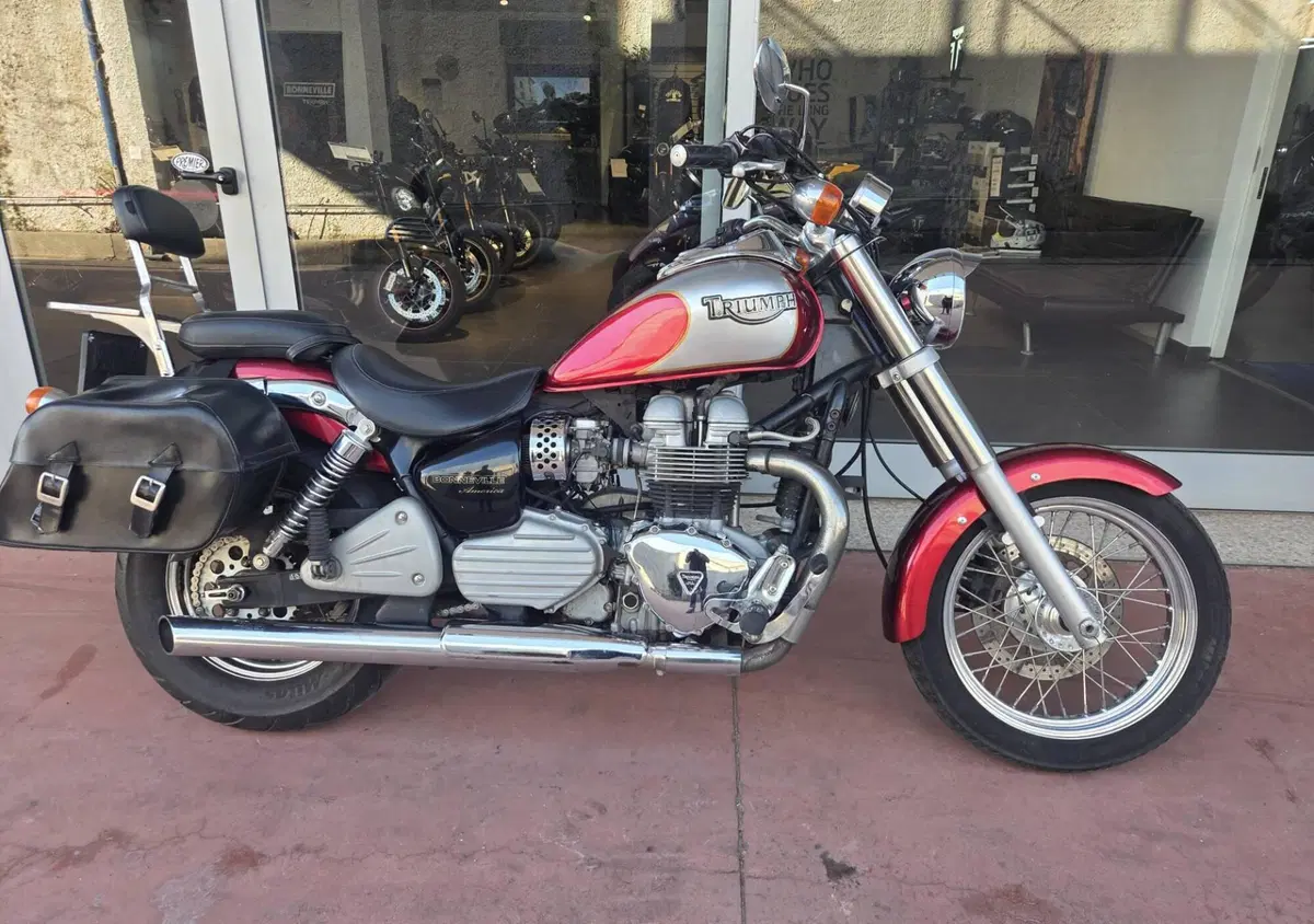 Triumph America (2008 - 10) (2)