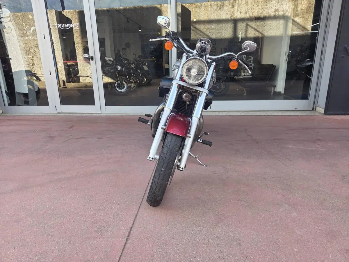Triumph America (2008 - 10) (11)