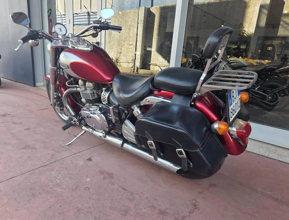 Triumph America (2008 - 10) (15)