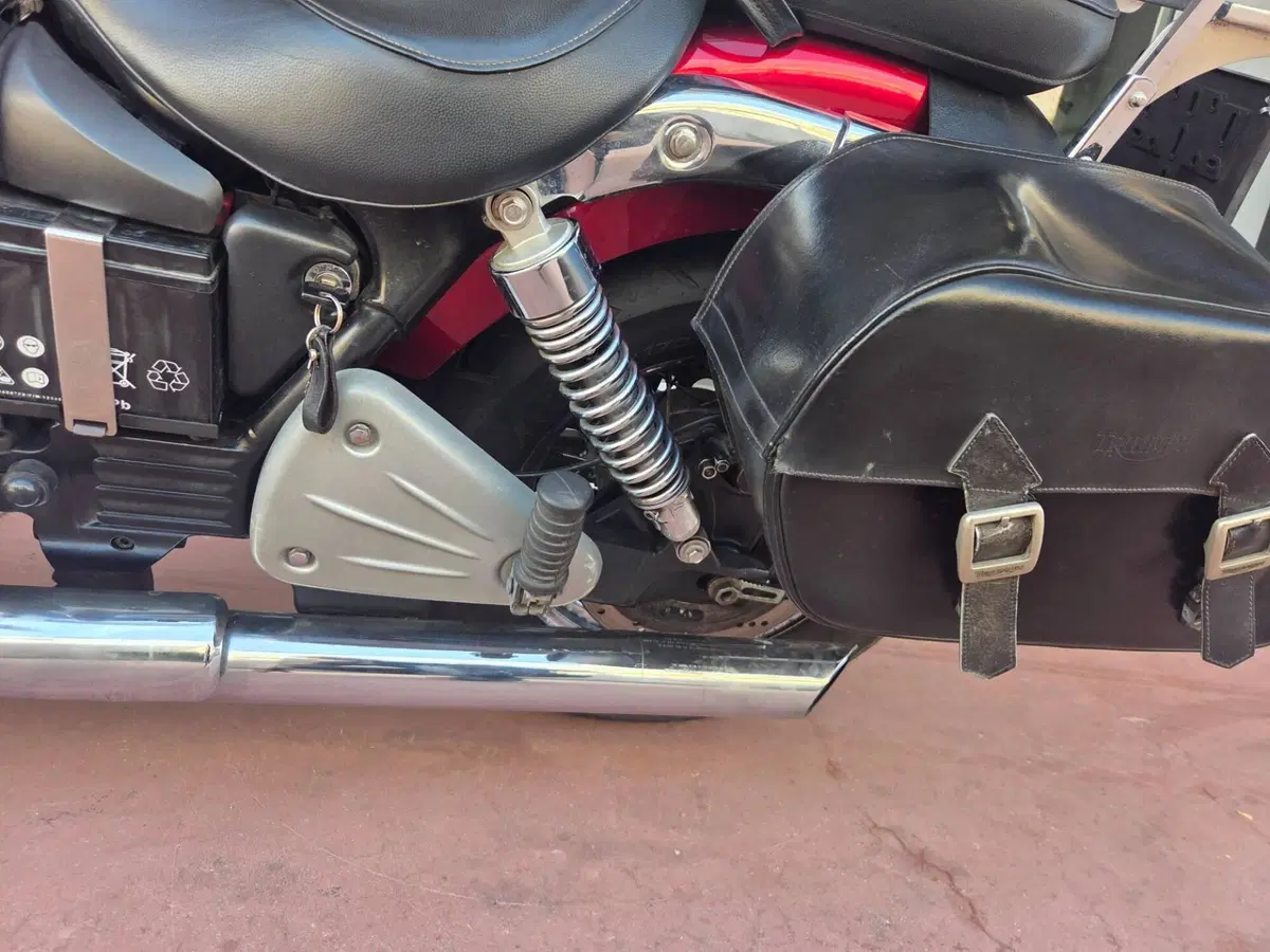 Triumph America (2008 - 10) (16)