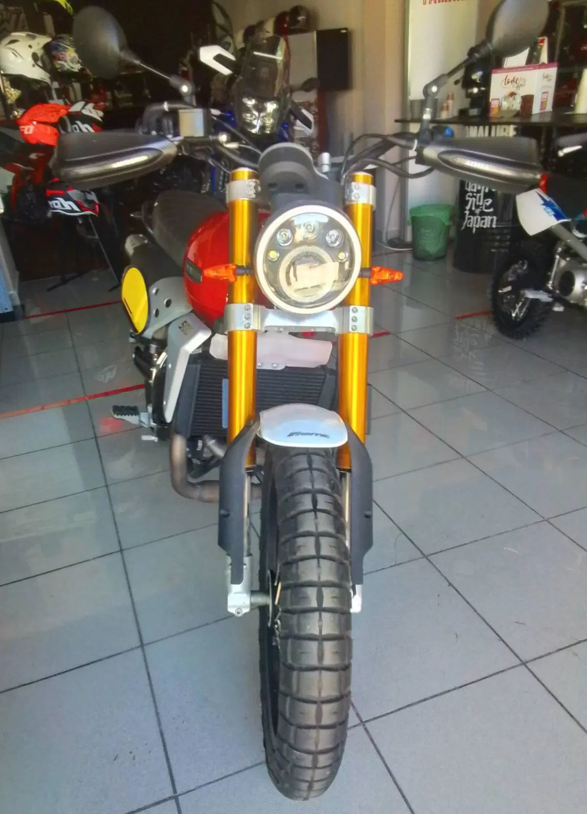 Fantic Motor Caballero 500 Scrambler (2021 - 23) (6)