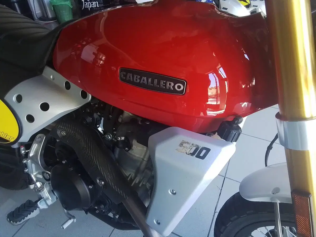 Fantic Motor Caballero 500 Scrambler (2021 - 23) (7)