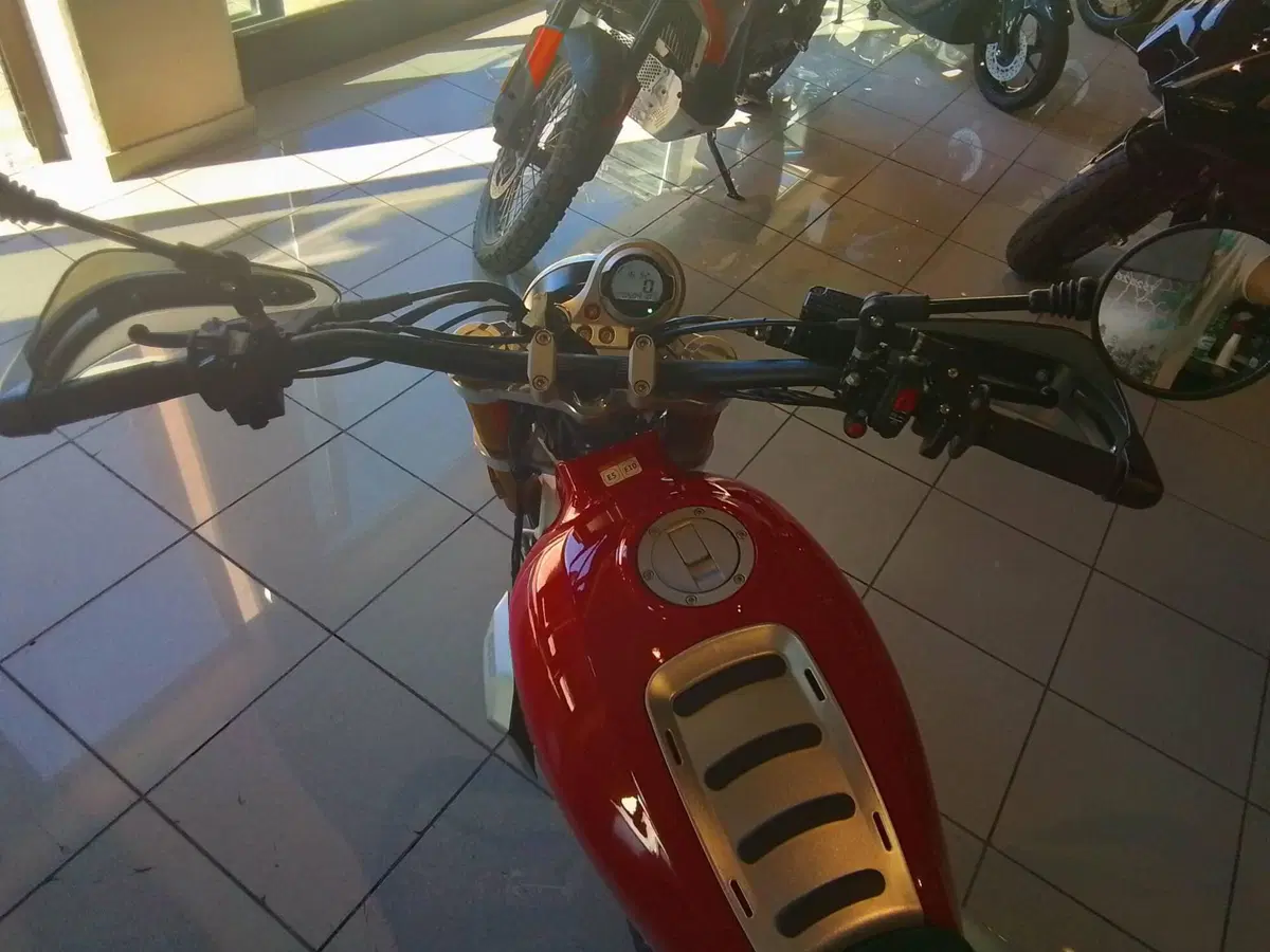 Fantic Motor Caballero 500 Scrambler (2021 - 23) (14)