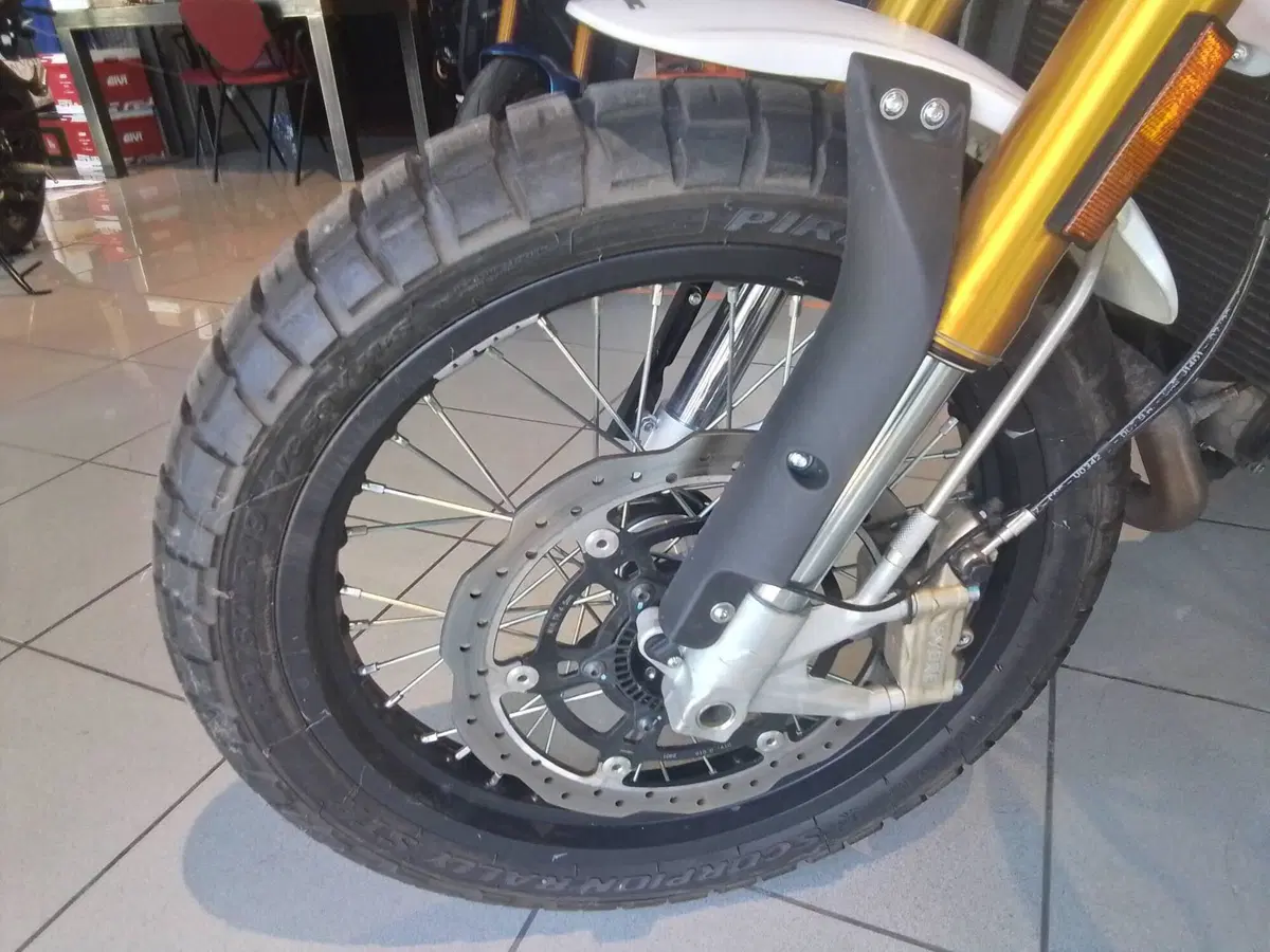 Fantic Motor Caballero 500 Scrambler (2021 - 23) (16)