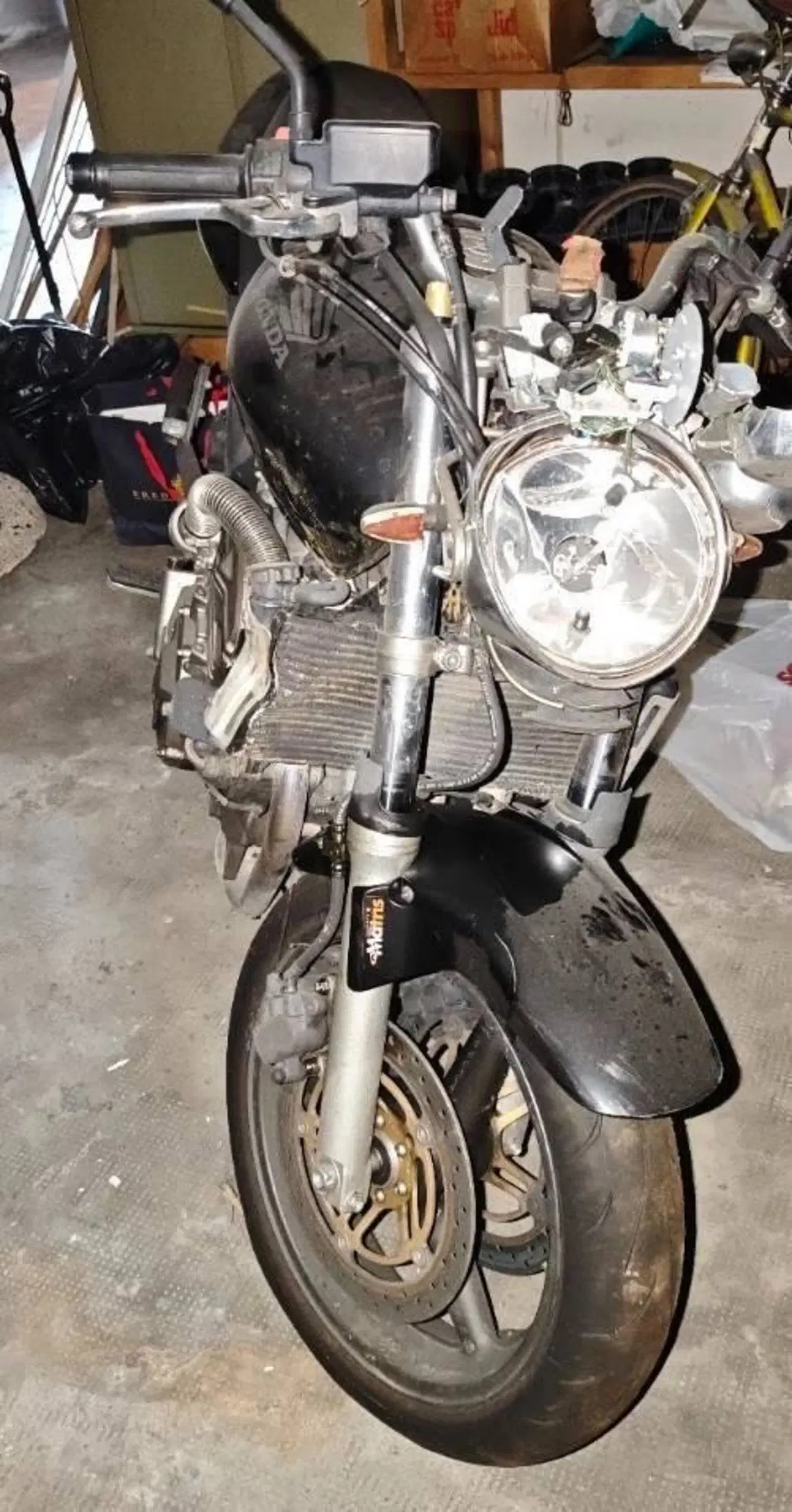 Honda Hornet 600 (2000 - 02) (2)