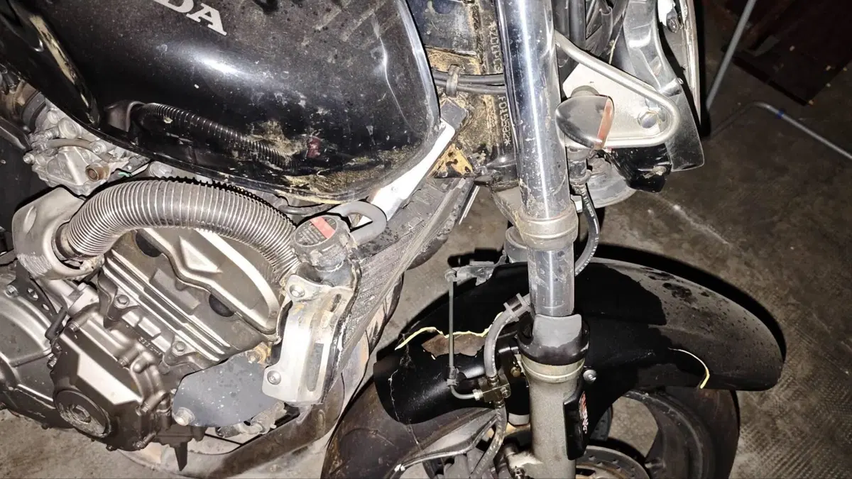 Honda Hornet 600 (2000 - 02) (4)