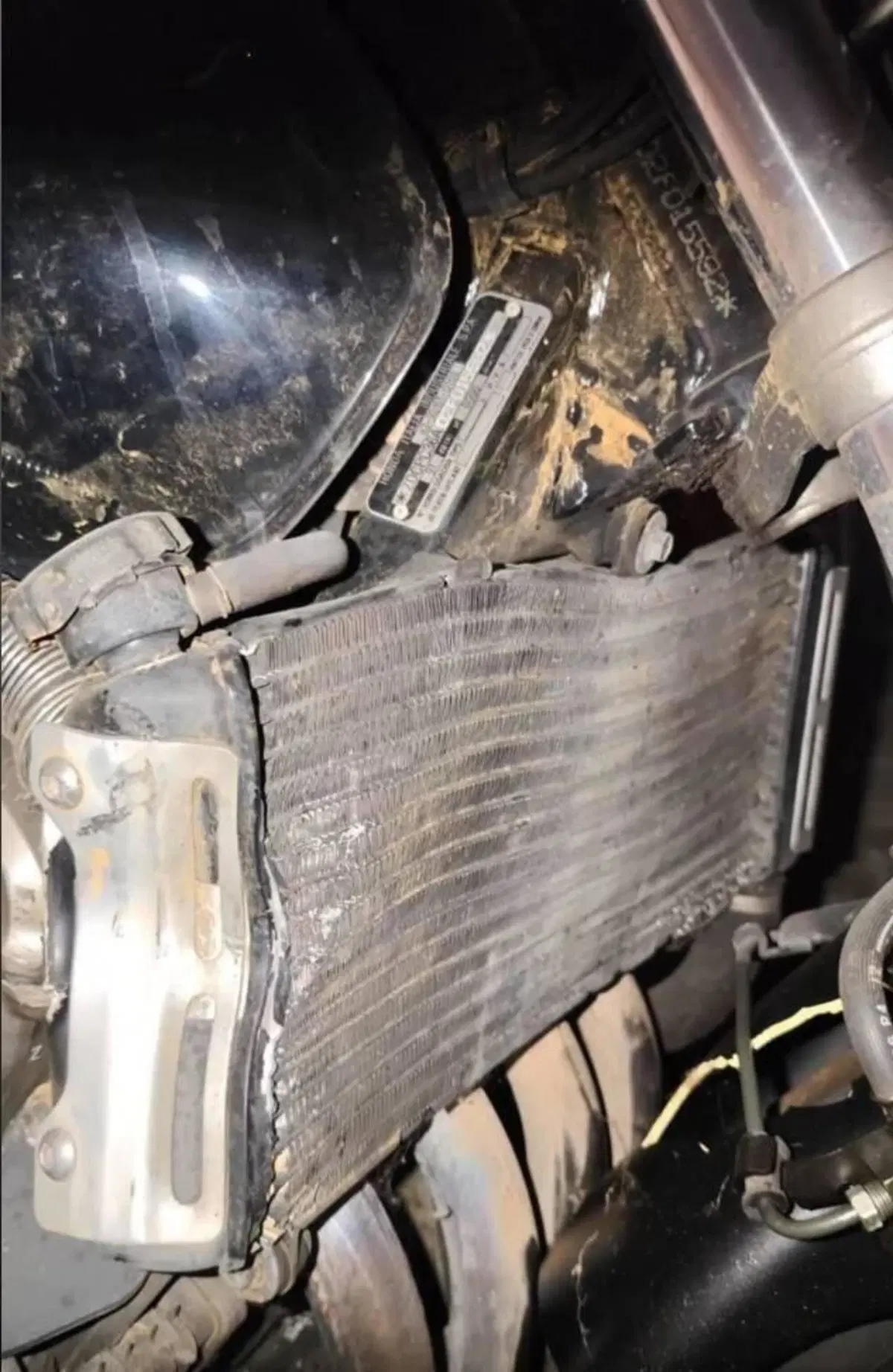 Honda Hornet 600 (2000 - 02) (6)