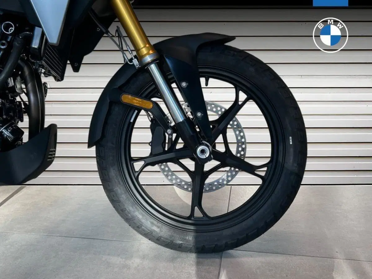 Bmw F 450 GS (2026) (14)