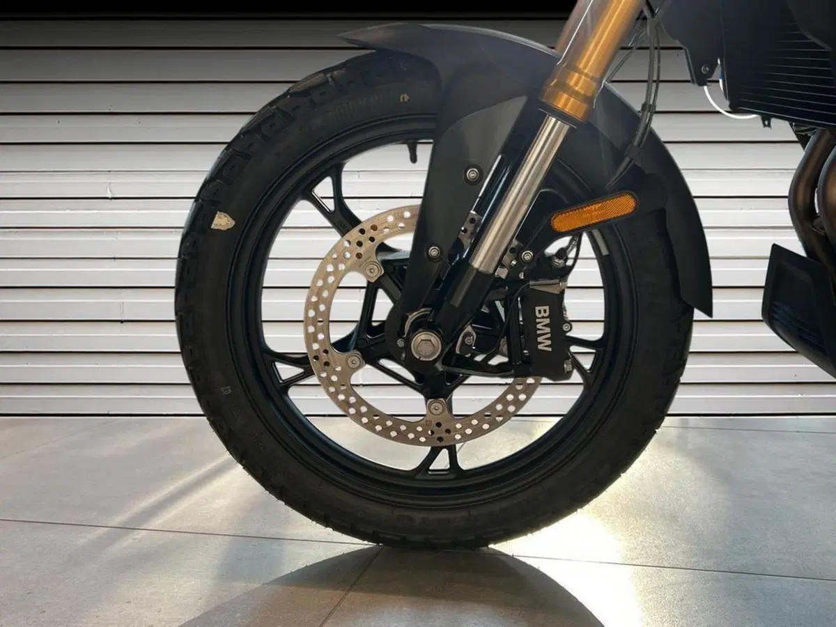 Bmw F 450 GS (2026) (15)