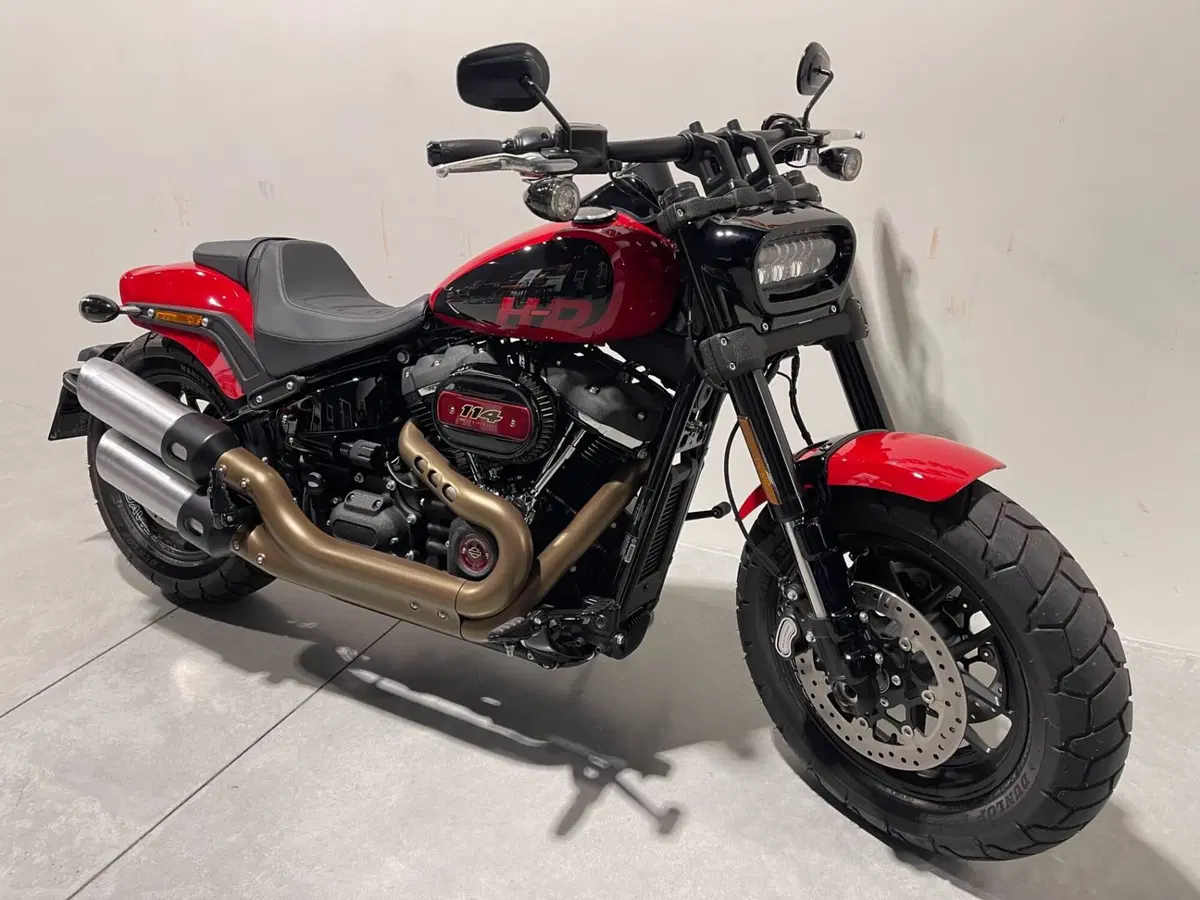 Harley-Davidson Fat Bob 114 (2021 - 25) (2)
