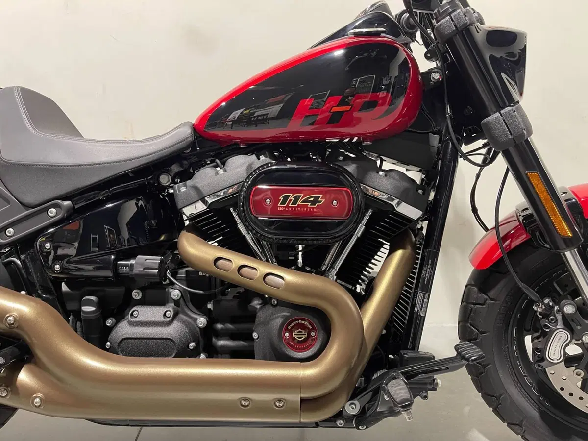 Harley-Davidson Fat Bob 114 (2021 - 25) (4)