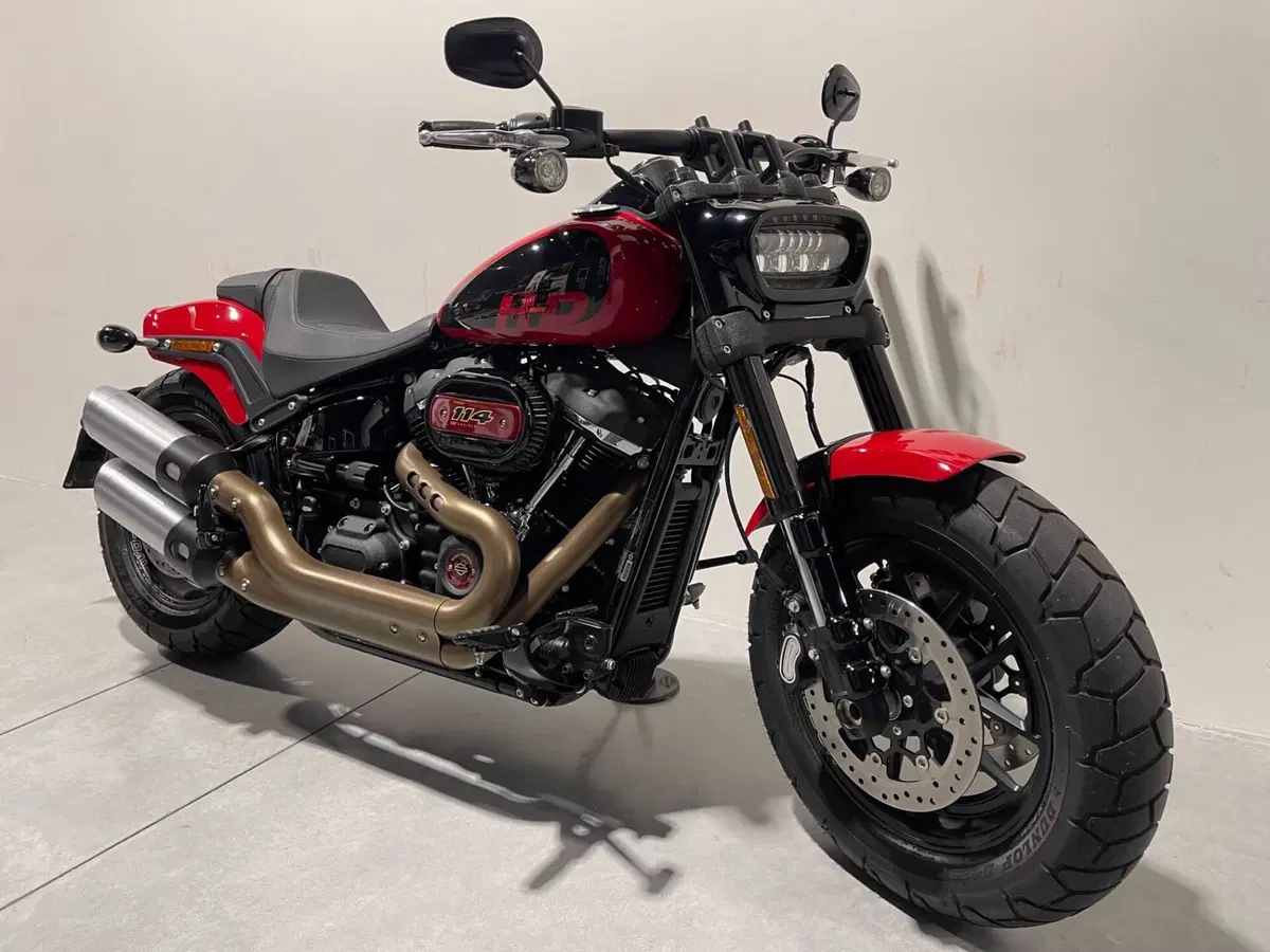Harley-Davidson Fat Bob 114 (2021 - 25) (6)