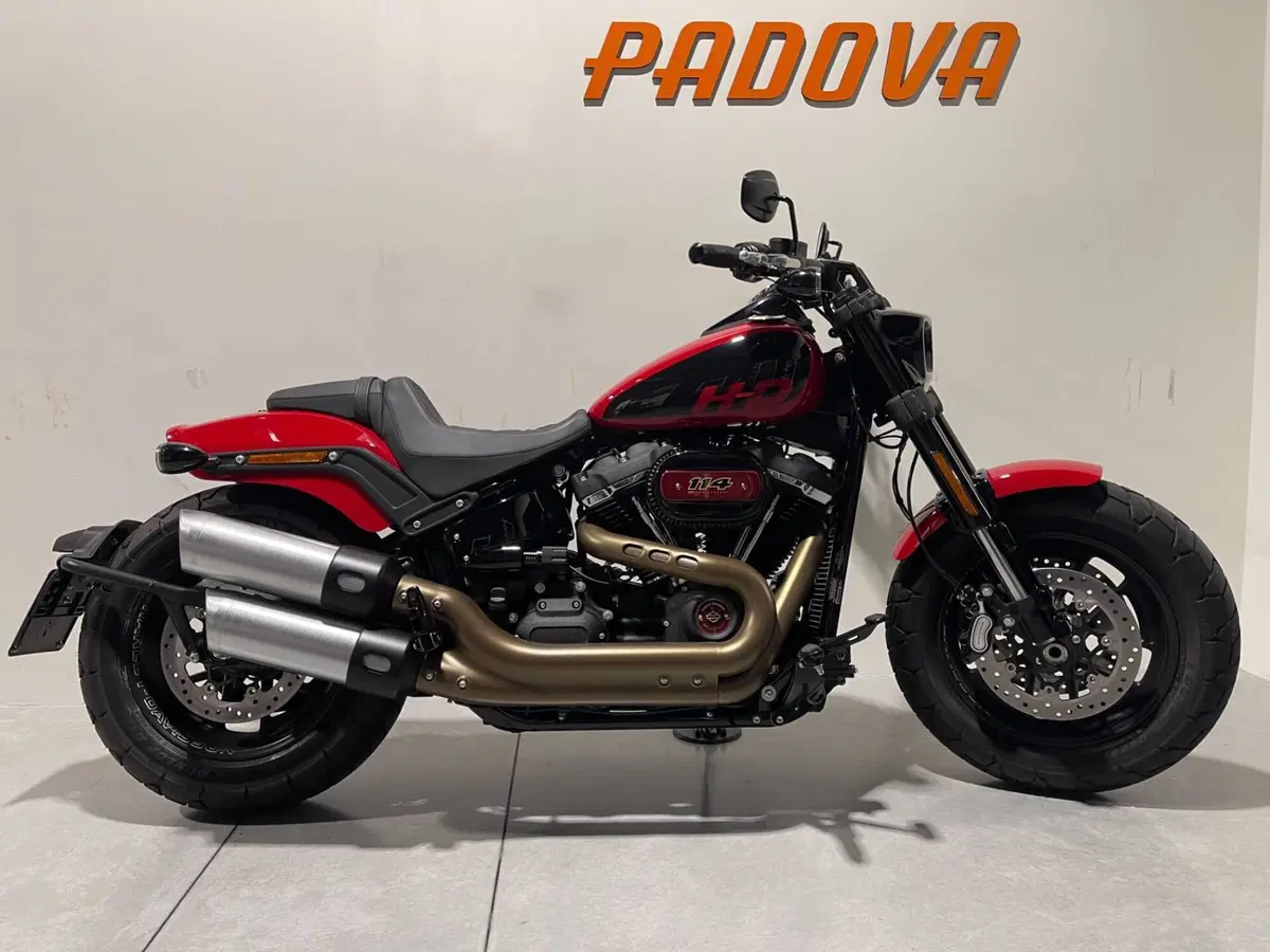 Harley-Davidson Fat Bob 114 (2021 - 25) (7)