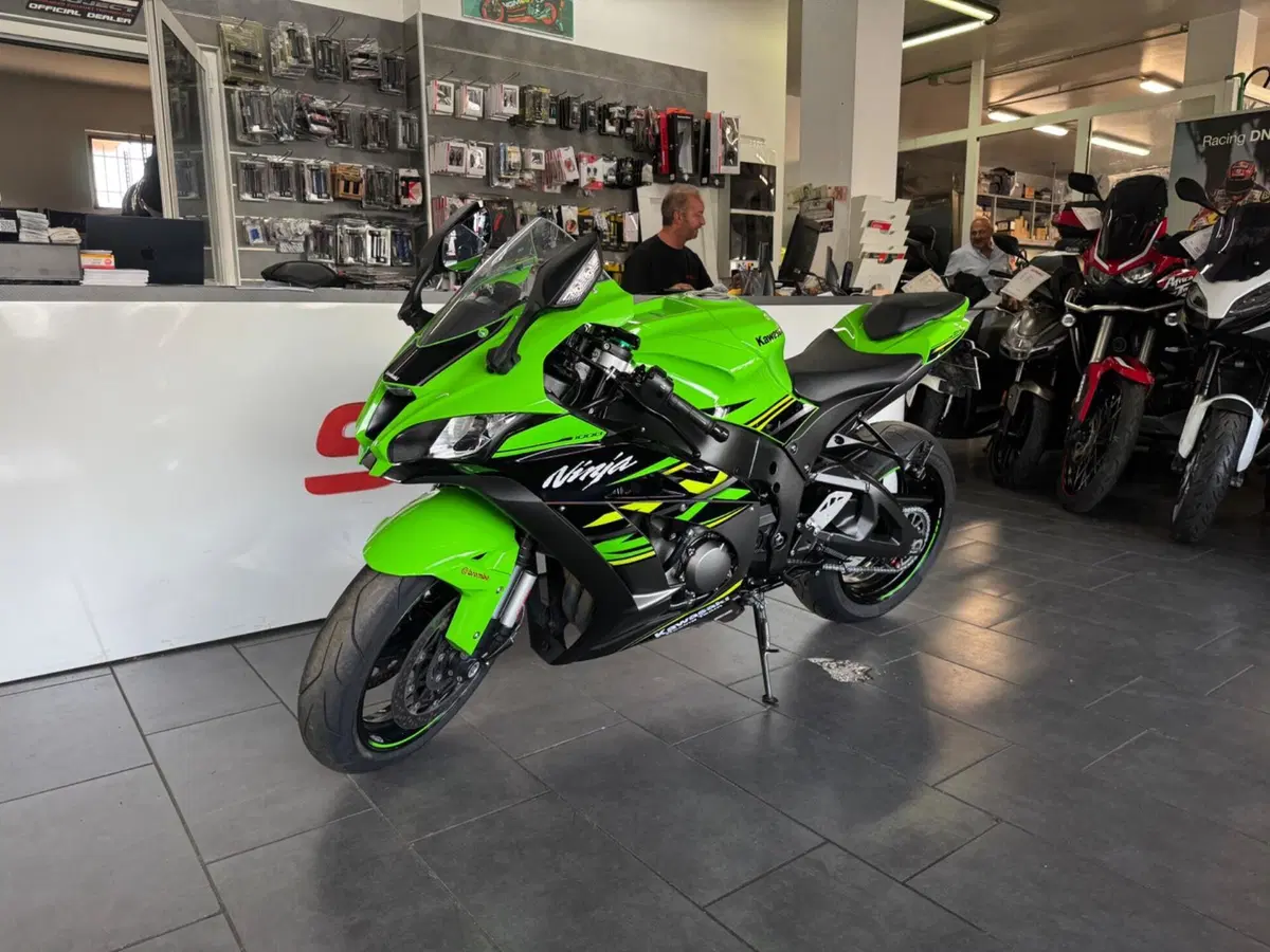 Kawasaki Ninja 1000 ZX-10R (2017 - 18) (2)