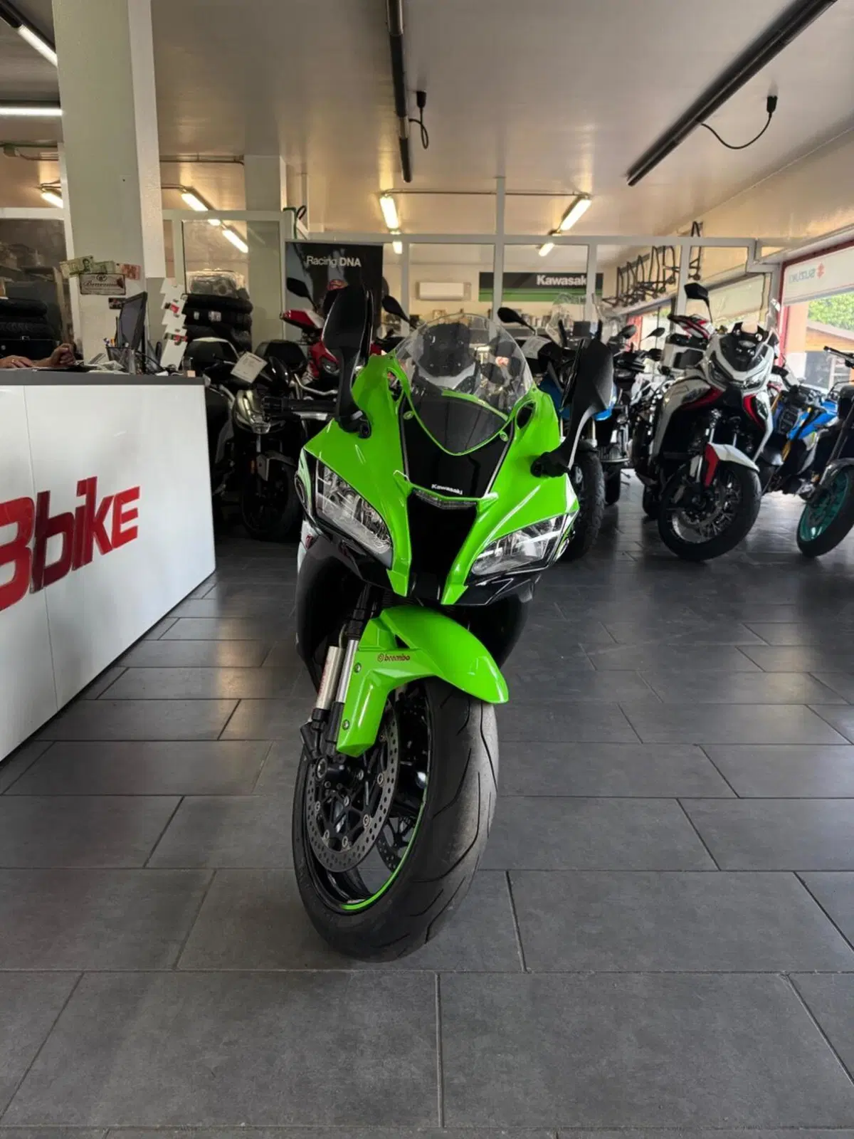 Kawasaki Ninja 1000 ZX-10R (2017 - 18) (3)