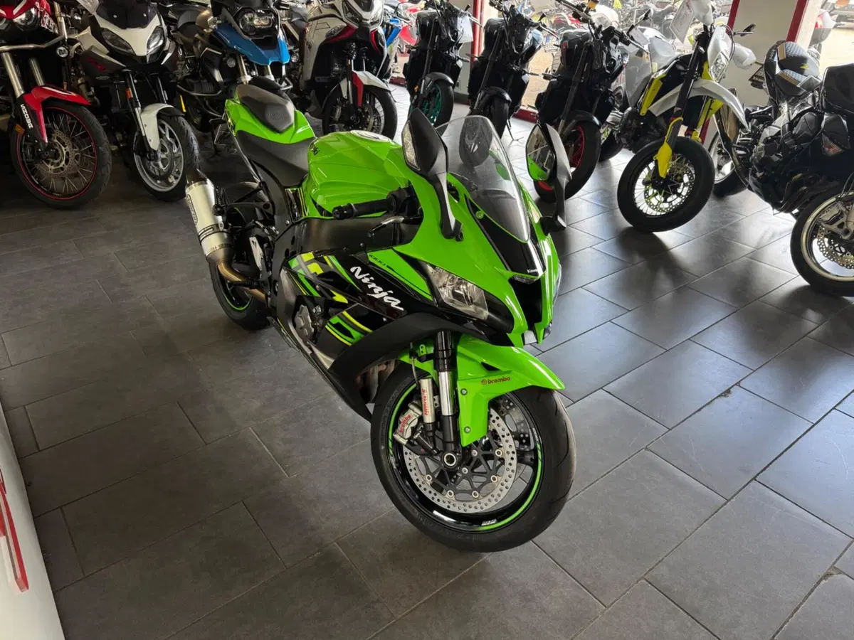 Kawasaki Ninja 1000 ZX-10R (2017 - 18) (6)