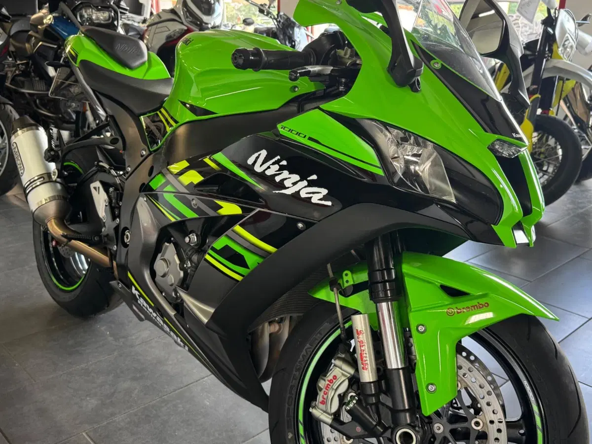 Kawasaki Ninja 1000 ZX-10R (2017 - 18) (7)