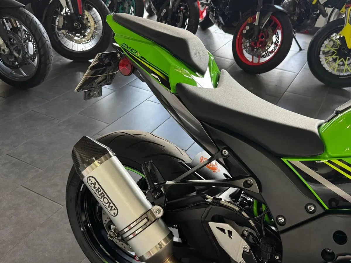 Kawasaki Ninja 1000 ZX-10R (2017 - 18) (9)