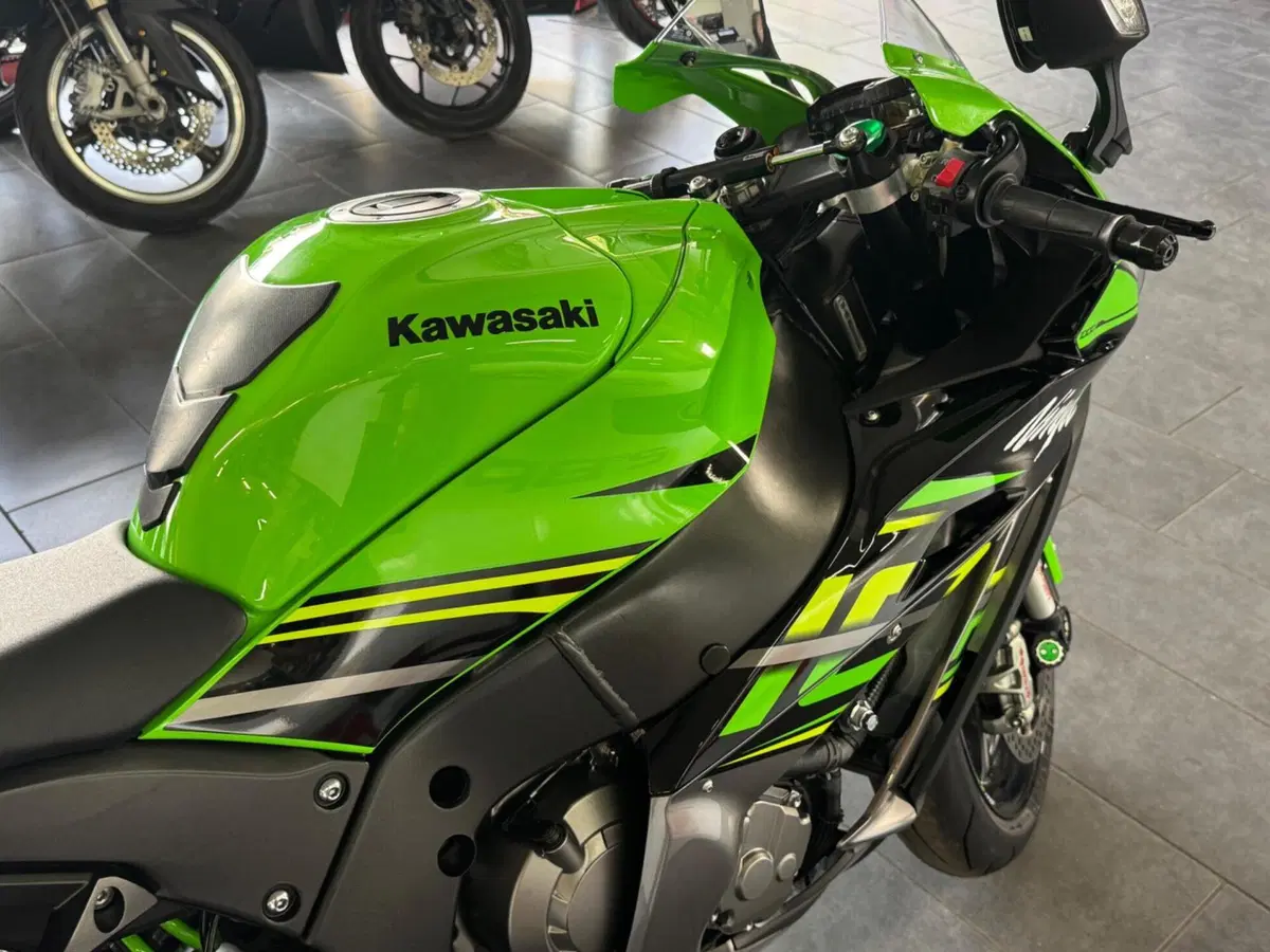Kawasaki Ninja 1000 ZX-10R (2017 - 18) (10)