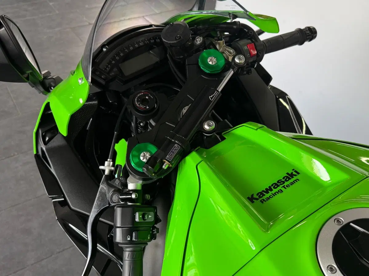 Kawasaki Ninja 1000 ZX-10R (2017 - 18) (11)