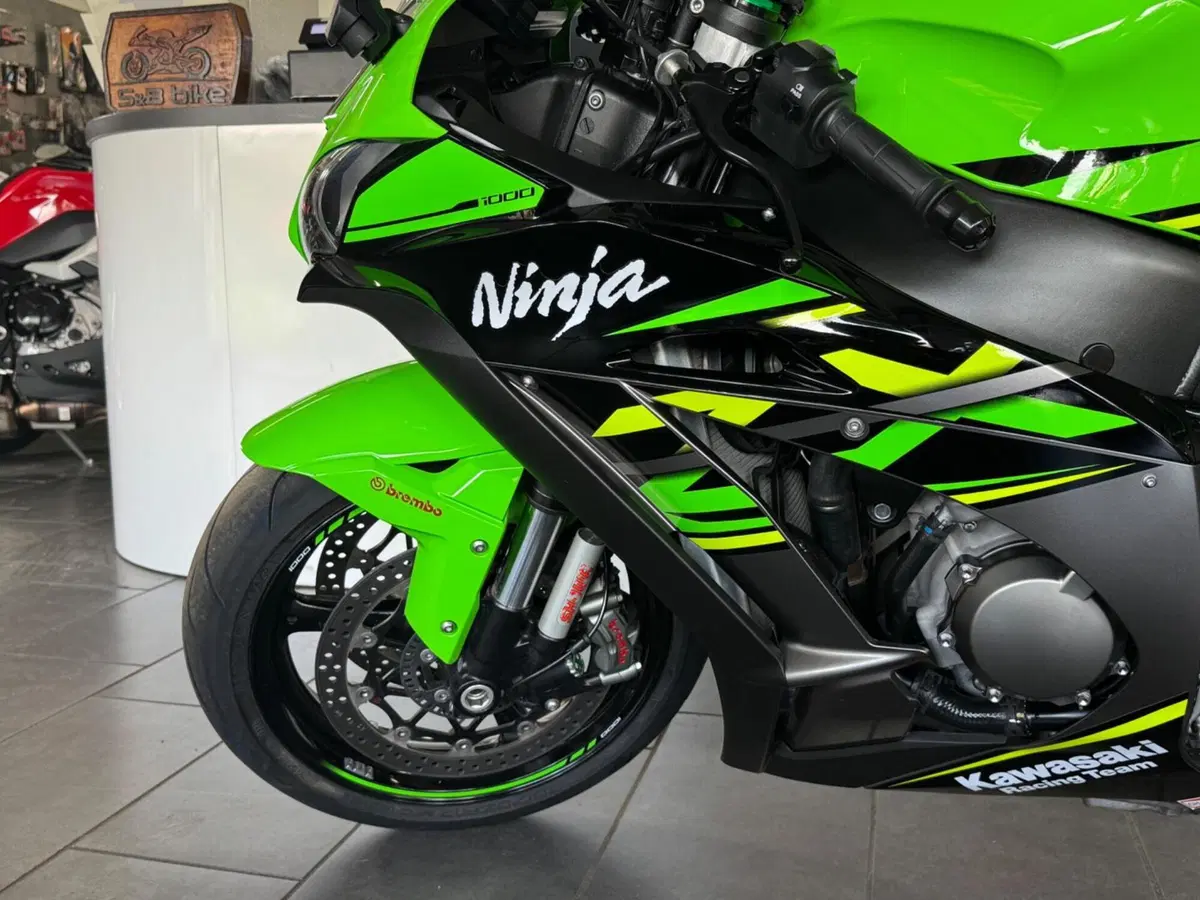 Kawasaki Ninja 1000 ZX-10R (2017 - 18) (12)