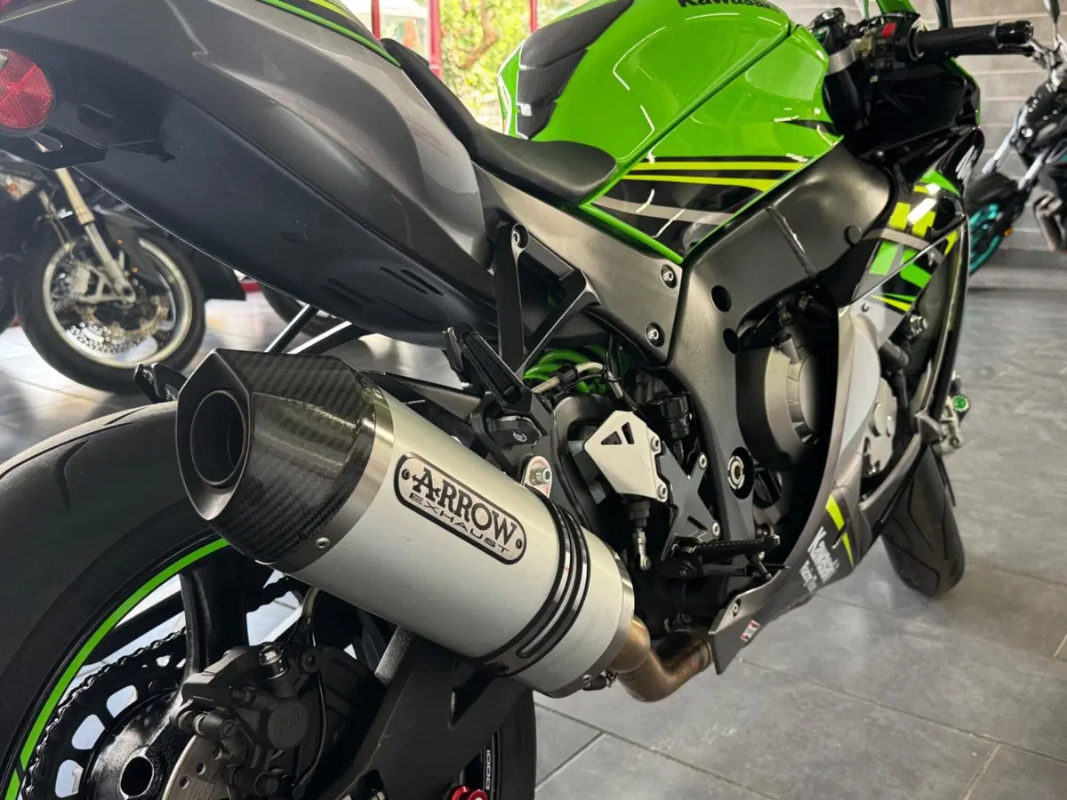 Kawasaki Ninja 1000 ZX-10R (2017 - 18) (13)