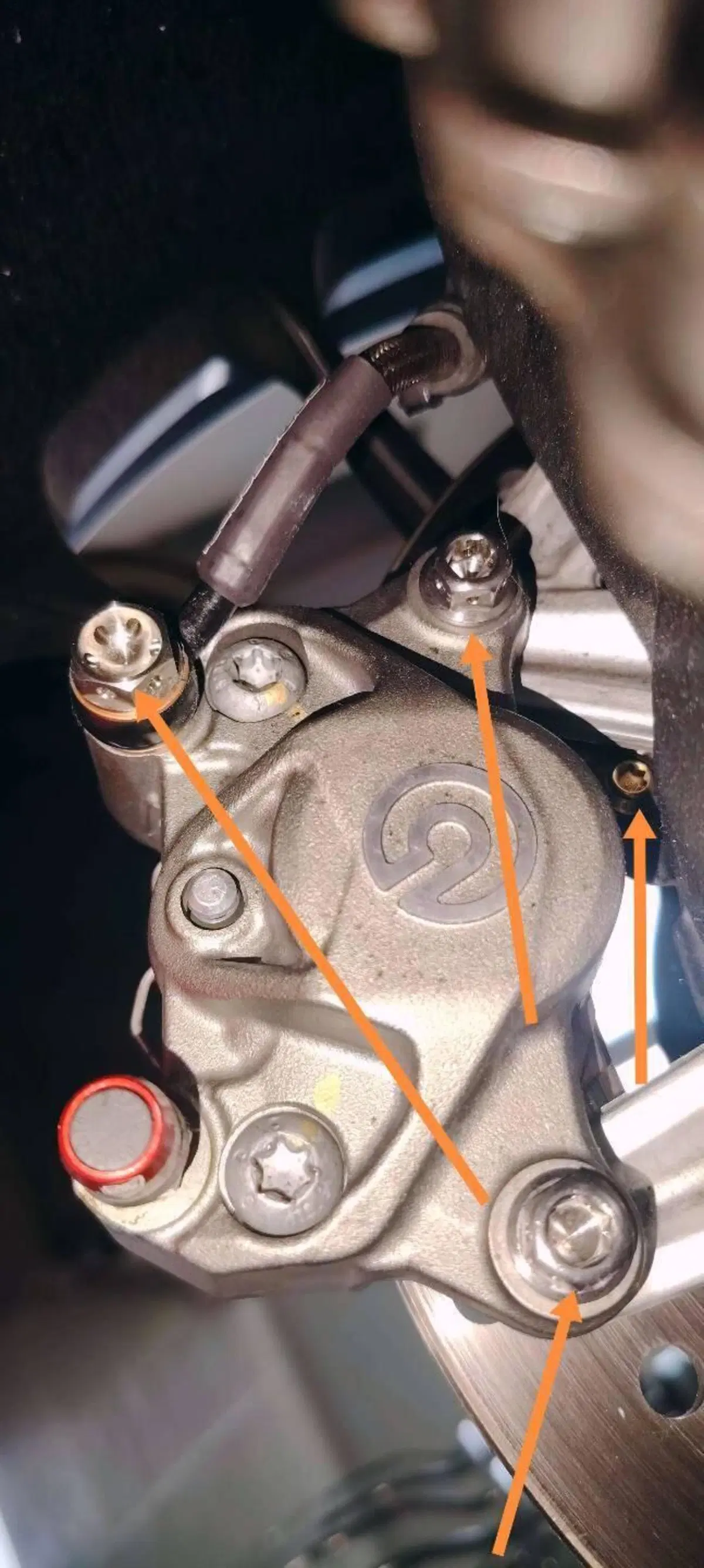 Ducati Panigale V4 R (2023 - 24) (12)
