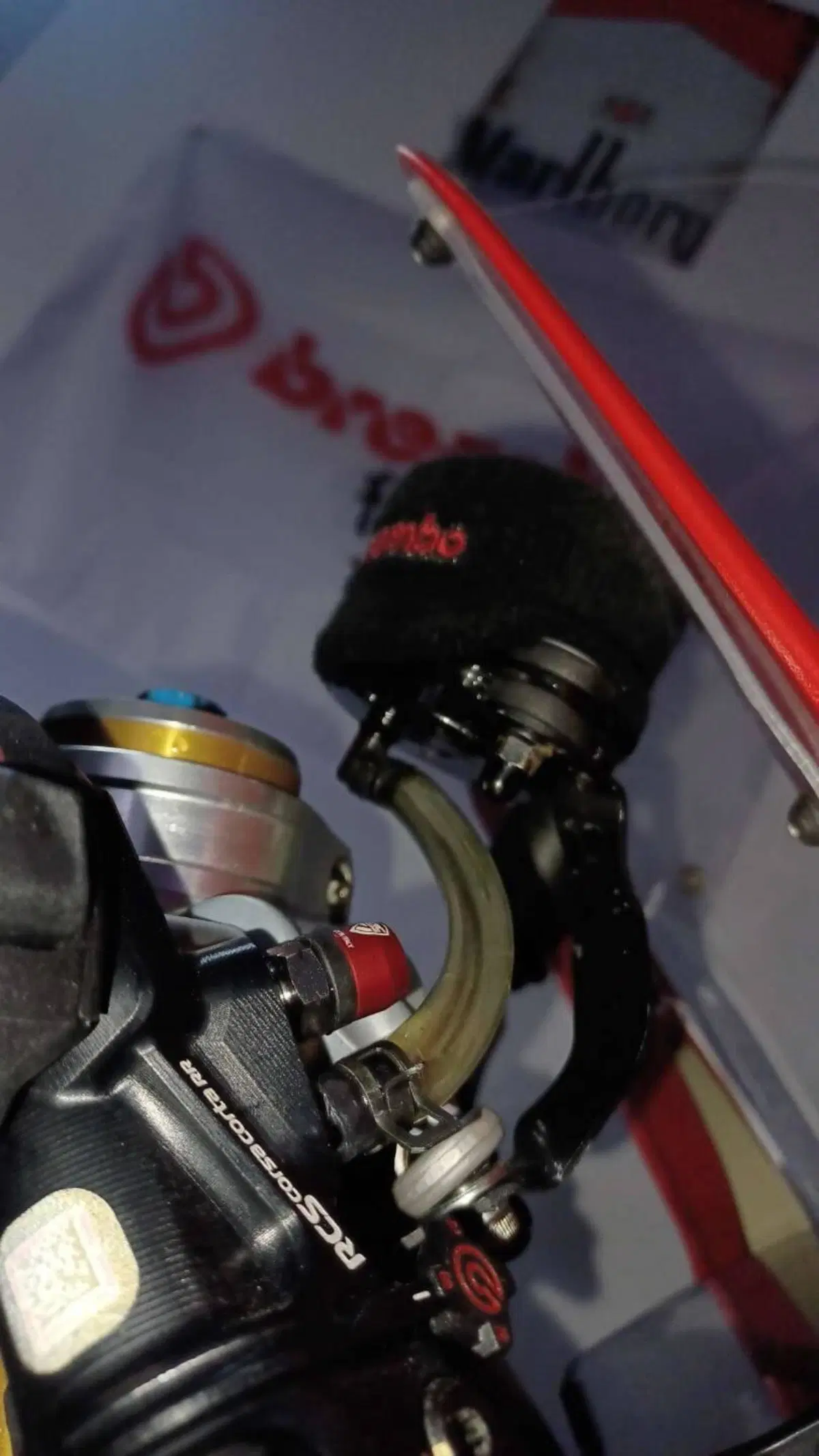 Ducati Panigale V4 R (2023 - 24) (16)