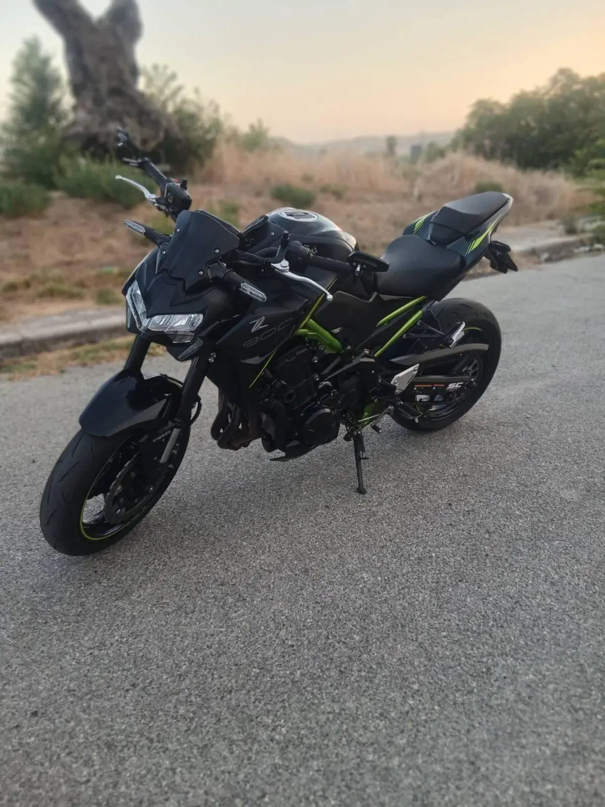 Kawasaki Z 900 (2021 - 24) (6)