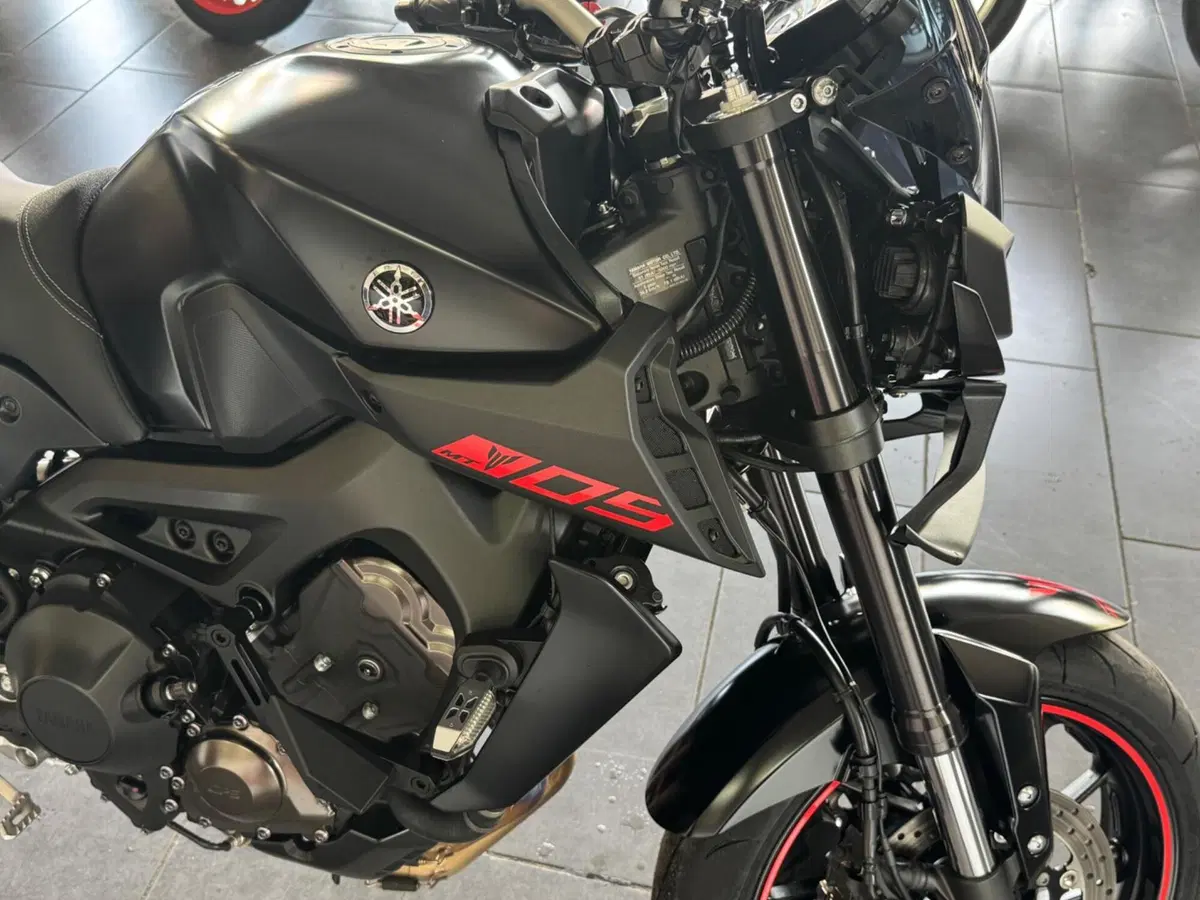 Yamaha MT-09 (2017 - 20) (6)