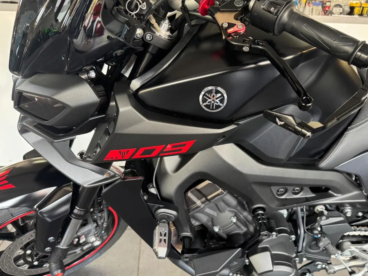 Yamaha MT-09 (2017 - 20) (11)