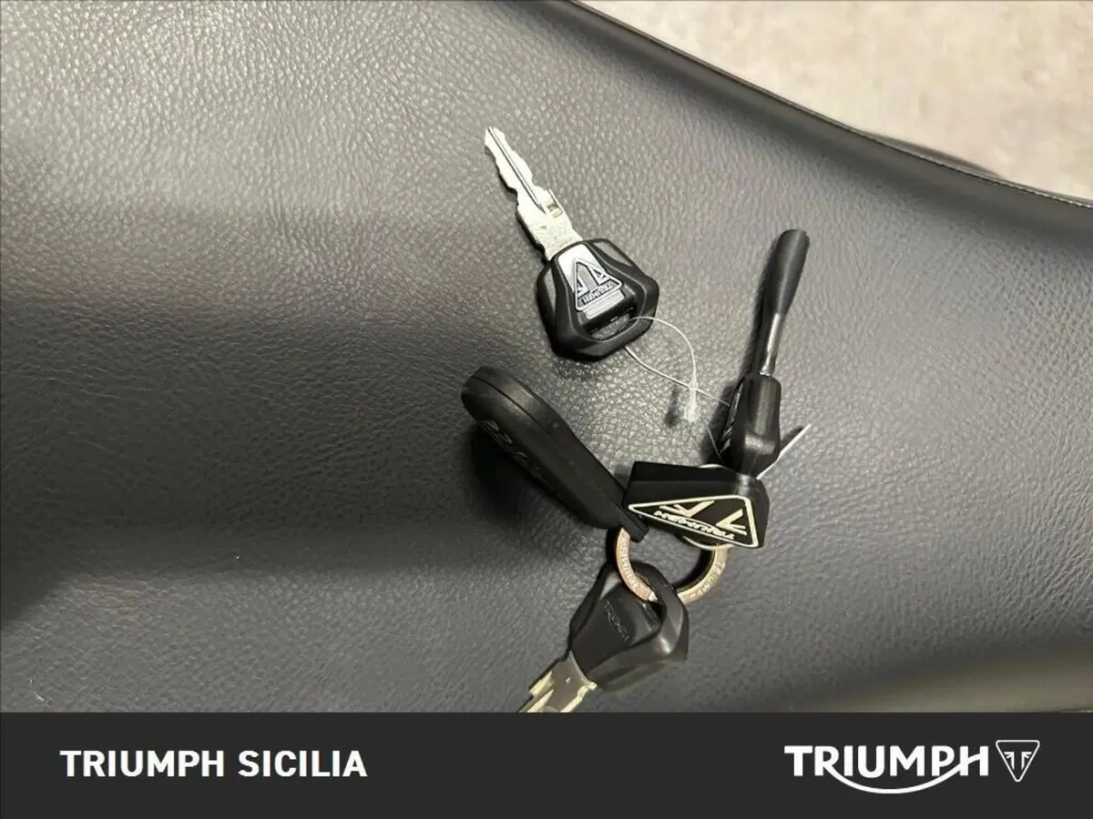 Triumph Speed Twin 900 (2023 - 24) (13)