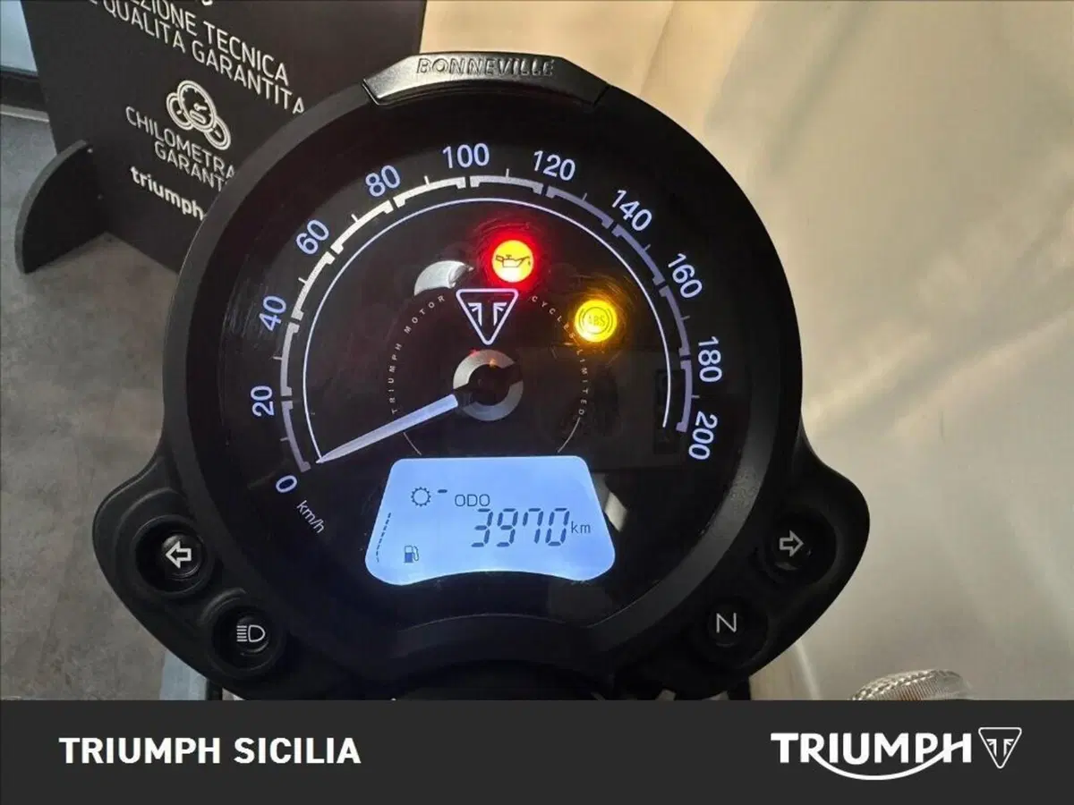 Triumph Speed Twin 900 (2023 - 24) (15)