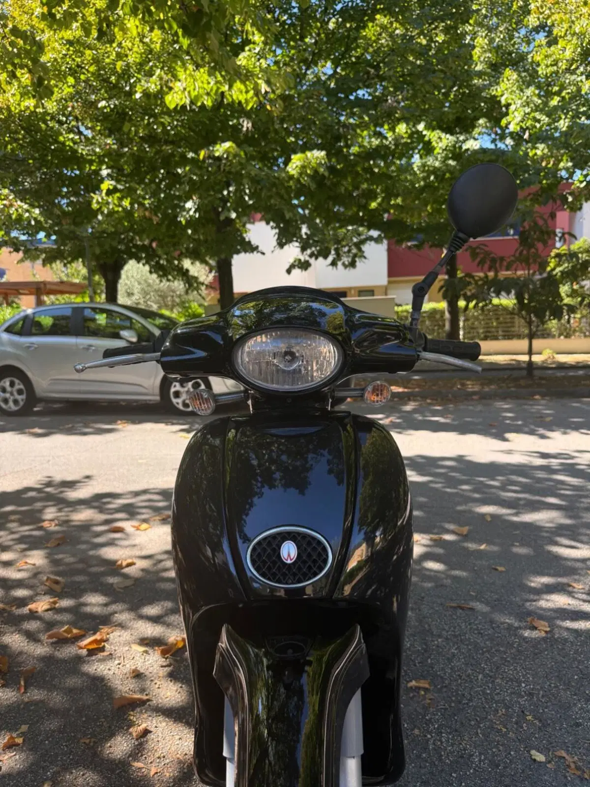 Aprilia Scarabeo 50 2t (2008 - 17) (9)