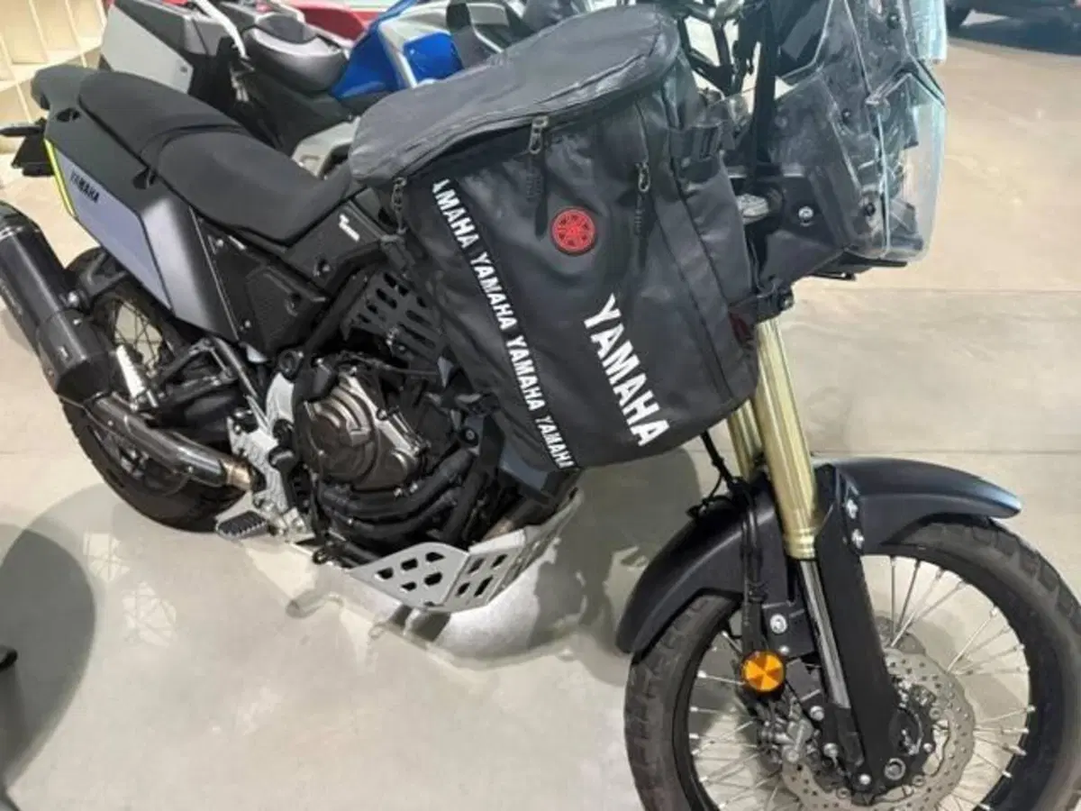 Yamaha Ténéré 700 (2019 - 20) (3)