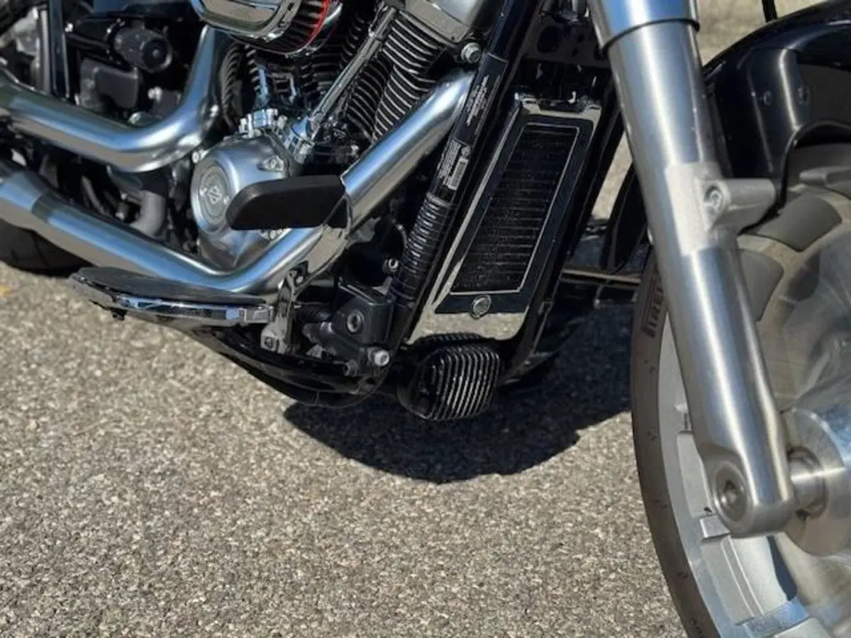 Harley-Davidson 114 Fat Boy (2018 - 20) - FLFBS (9)