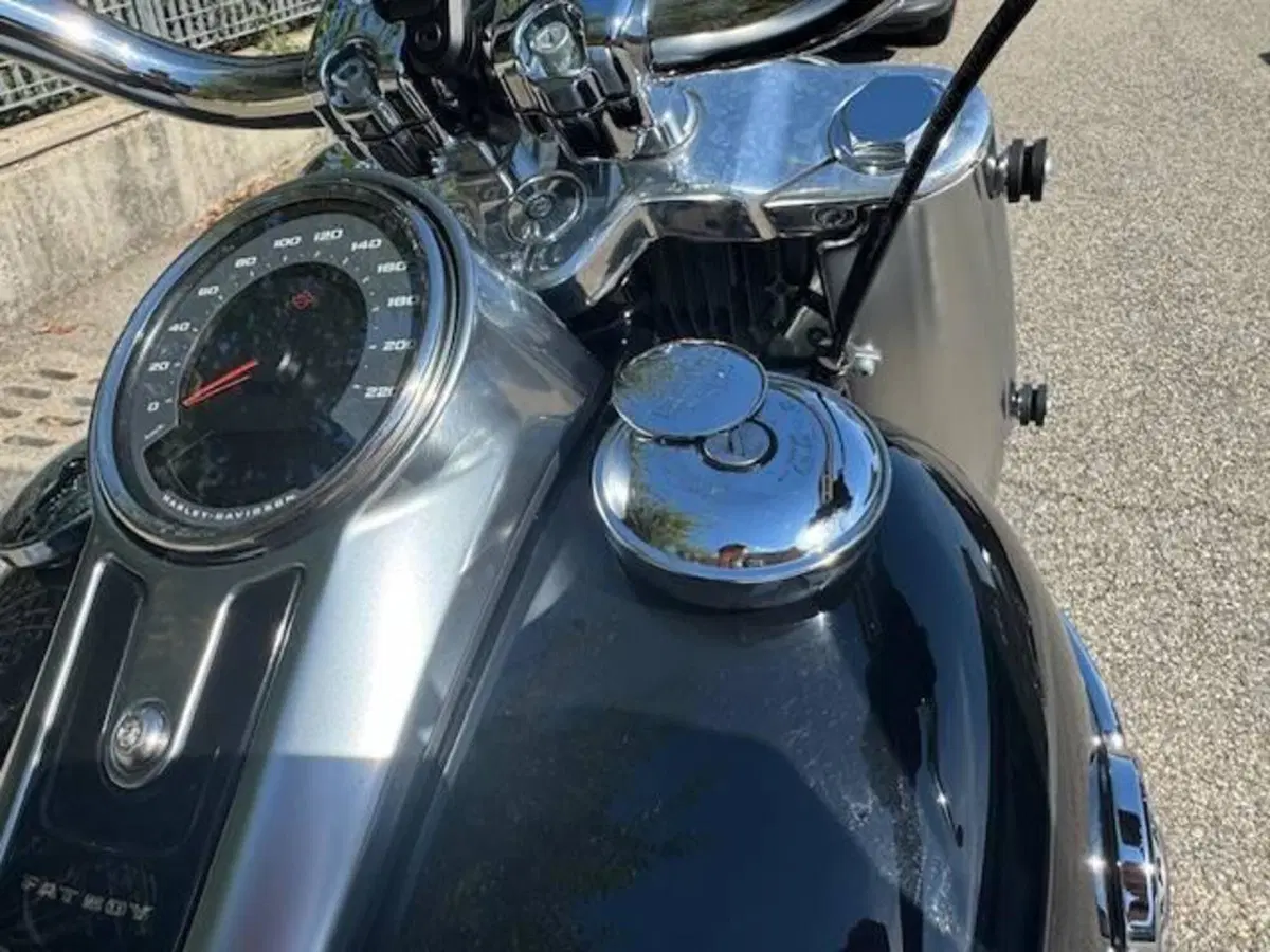 Harley-Davidson 114 Fat Boy (2018 - 20) - FLFBS (16)