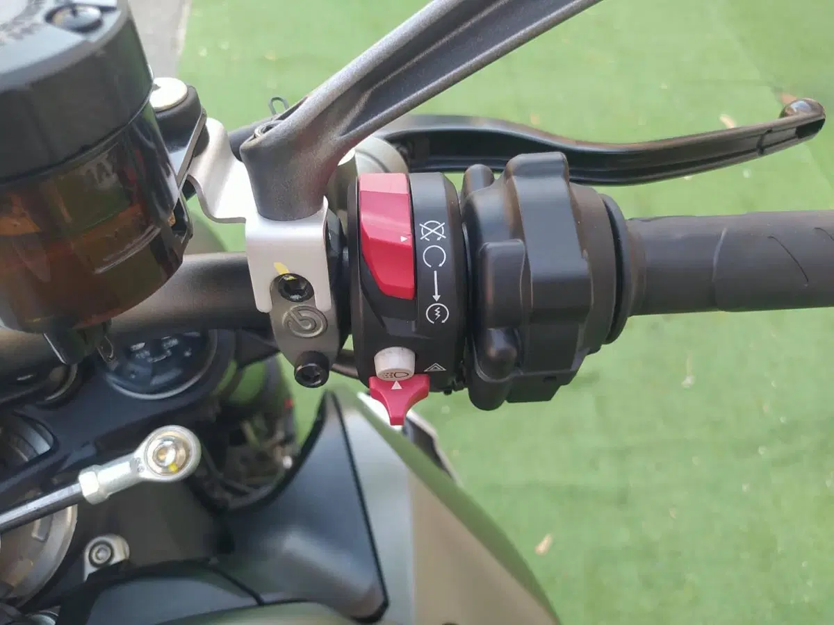 Ducati Streetfighter V2 955 Green (2022 - 23) (10)