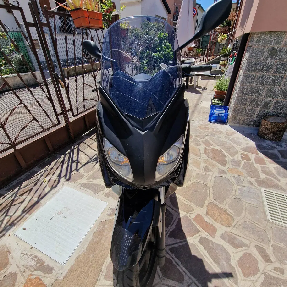 Yamaha X-Max 250 (2010 - 13) (2)