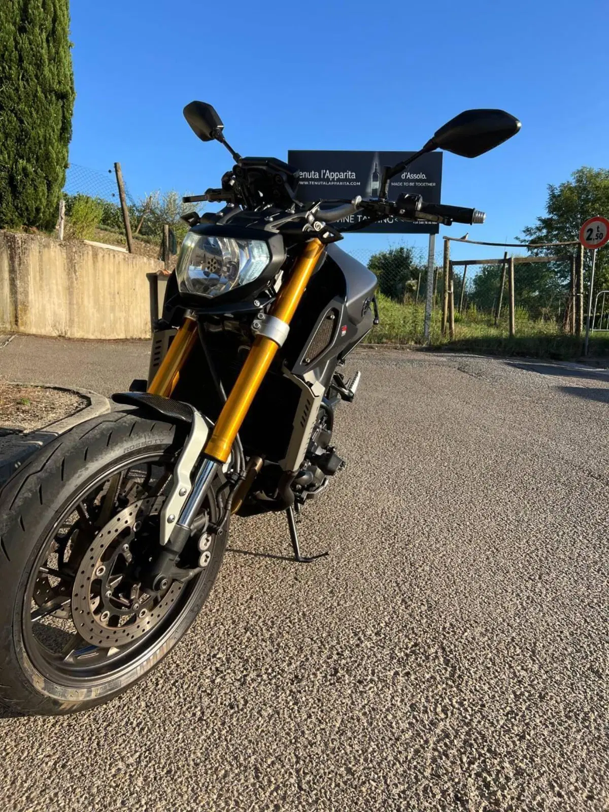 Yamaha MT-09 Street Rally (2014 - 16) (4)