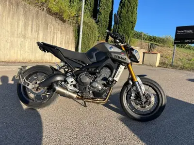 Yamaha MT-09 Street Rally (2014 - 16) usata