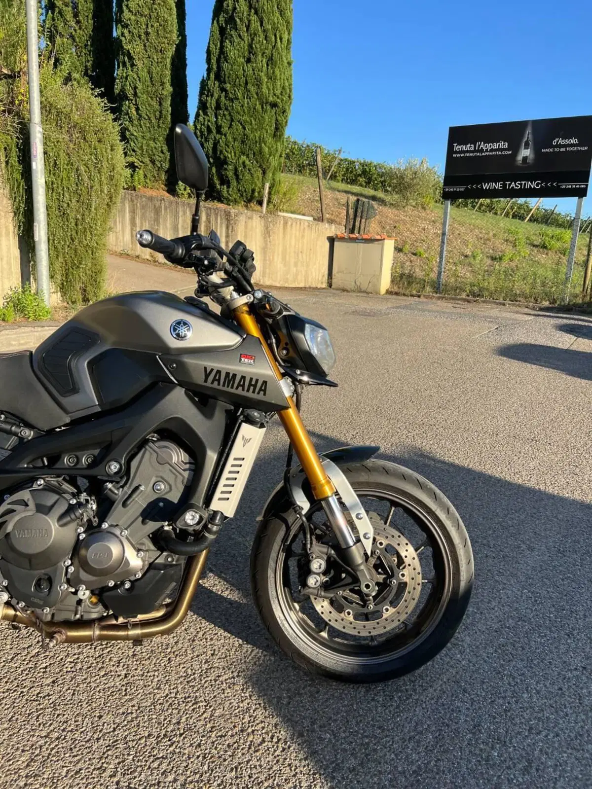 Yamaha MT-09 Street Rally (2014 - 16) (8)