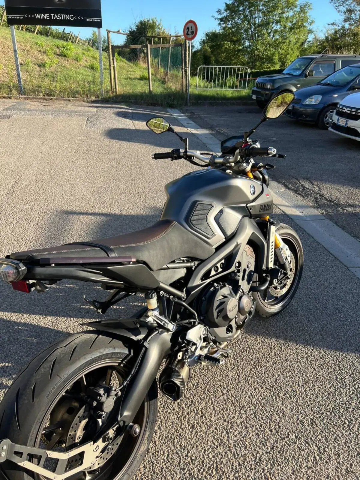 Yamaha MT-09 Street Rally (2014 - 16) (9)