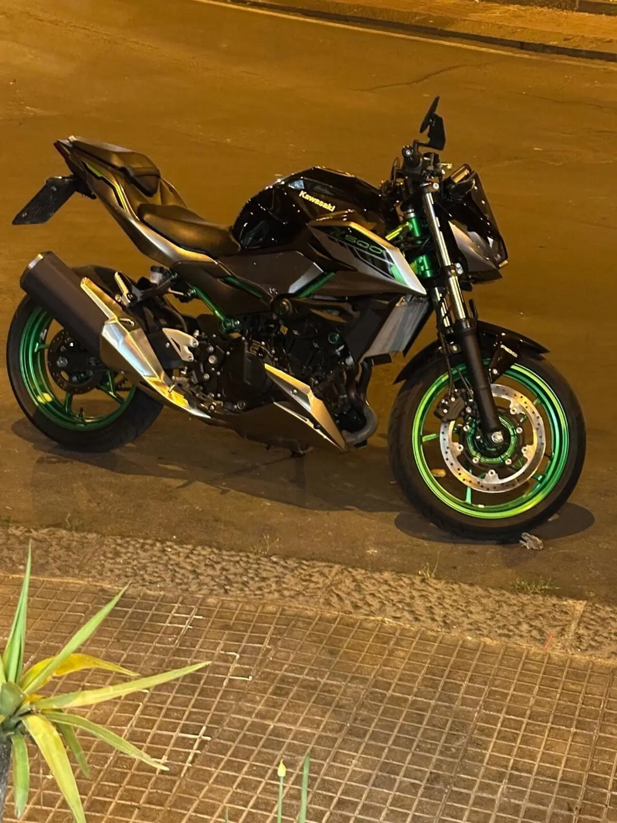 Kawasaki Z 500 SE (2024 - 26) (3)