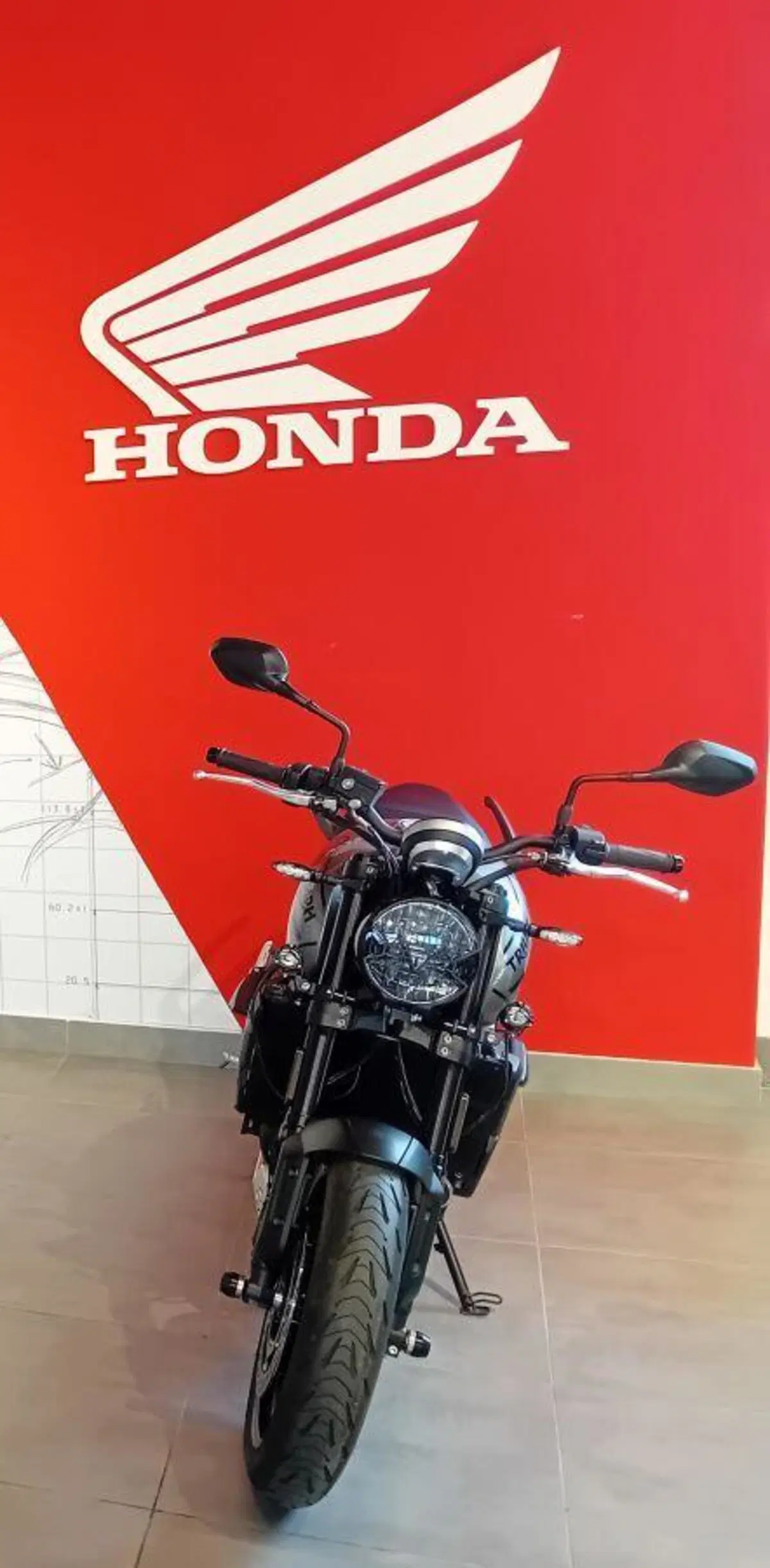 Triumph Trident 660 (2021 - 24) (3)