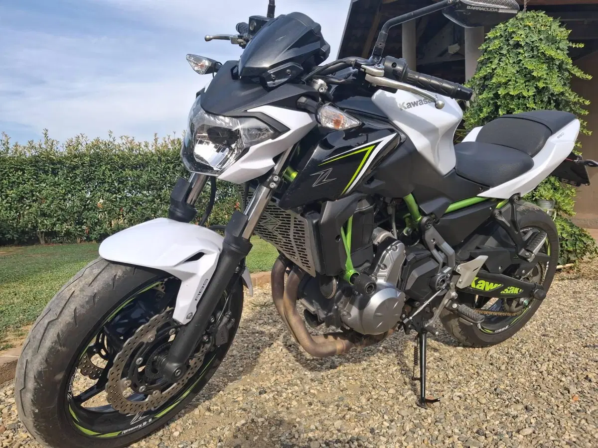 Kawasaki Z 650 (2017 - 19)