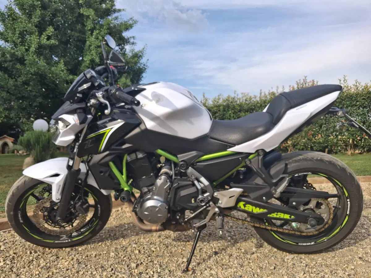 Kawasaki Z 650 (2017 - 19) (2)