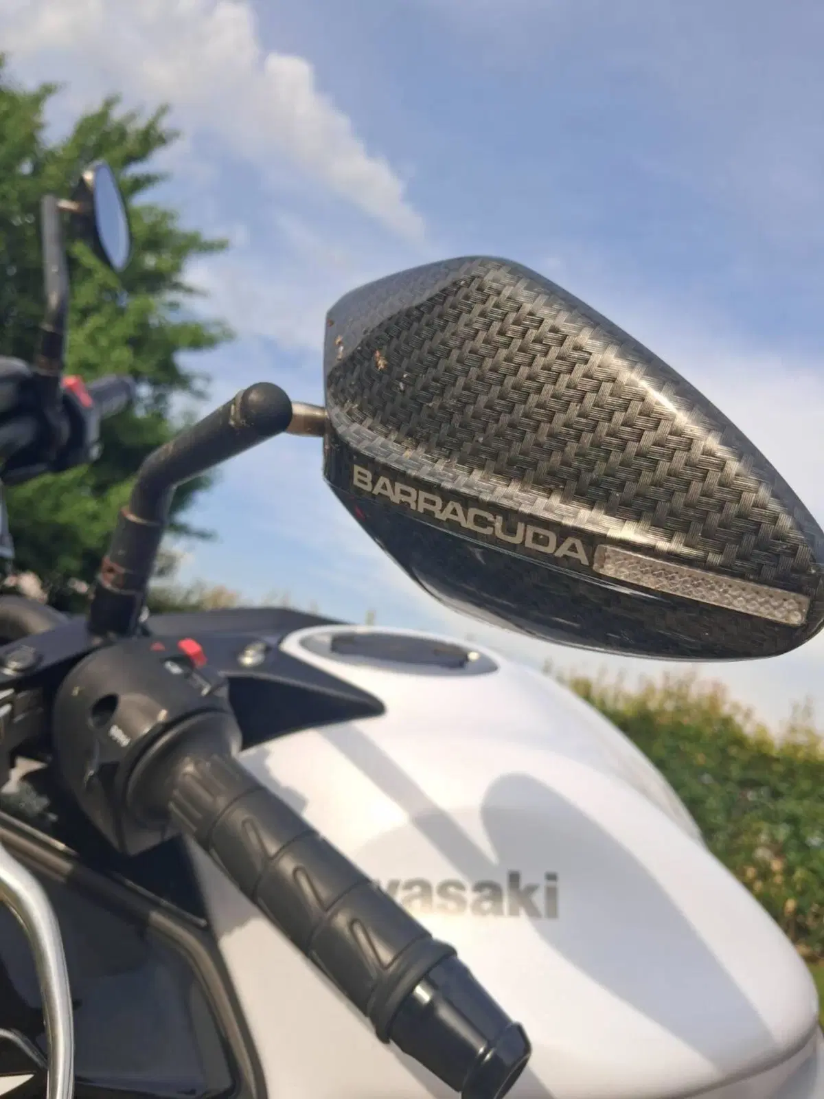 Kawasaki Z 650 (2017 - 19) (4)